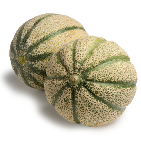 MELONE RETATO IGP