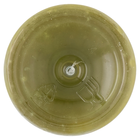 Mela, Kiwi, Ananas, Spinaci e Limone Il Viaggiator Goloso