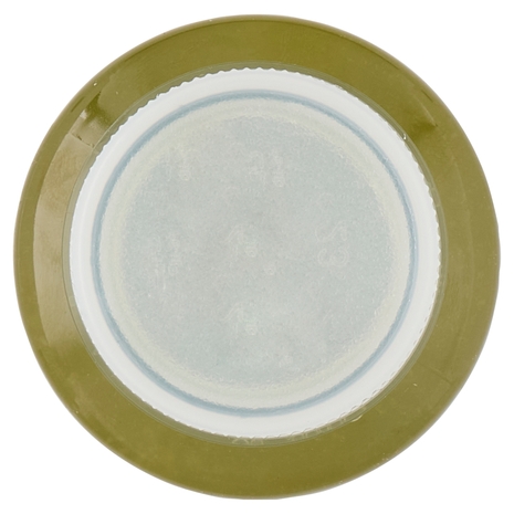 Mela, Kiwi, Ananas, Spinaci e Limone Il Viaggiator Goloso