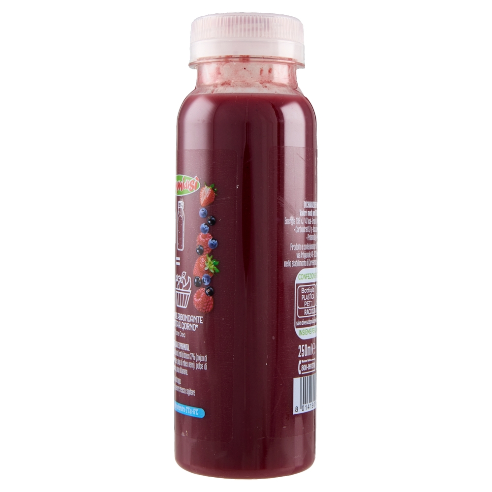 DimmidiSì Frullato fresco Frutti di Bosco 250 ml