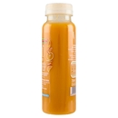 DimmidiSì Frullato fresco Arancia e Carota 250 ml