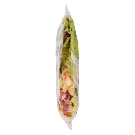 Buongiorno freschezza Mista Tradizionale Radicchio, Indivia, Pan di Zucchero, Carote 500 g