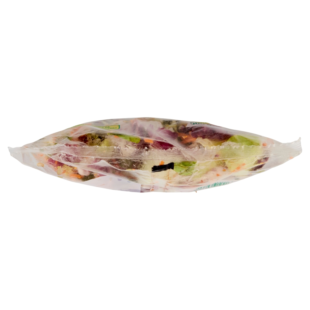 Buongiorno freschezza Mista Tradizionale Radicchio, Indivia, Pan di Zucchero, Carote 500 g