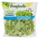 Lattughino, 60 g