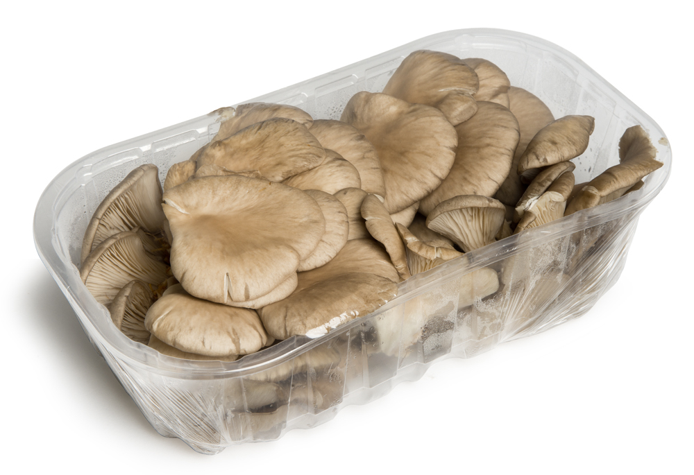 Funghi Pleurotus, 500 g