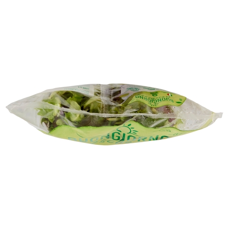 Buongiorno freschezza Tenero Gran Mix Lattughino, Songino, Spinacino 200 g