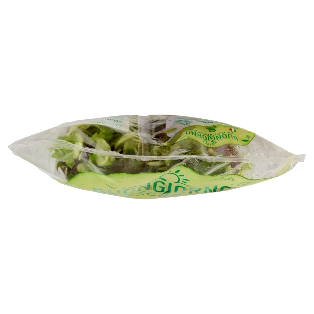 Buongiorno freschezza Tenero Gran Mix Lattughino, Songino, Spinacino 200 g