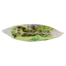 Buongiorno freschezza Tenero Gran Mix Lattughino, Songino, Spinacino 200 g