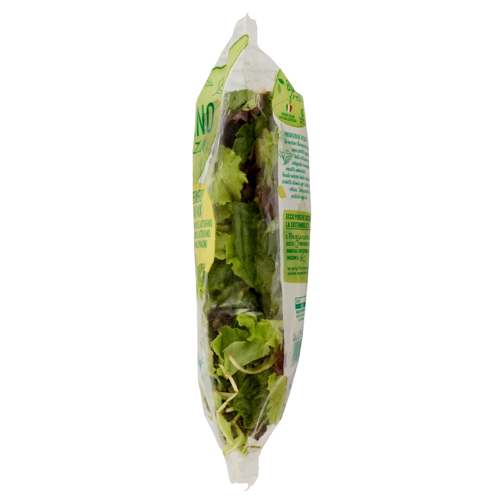 Buongiorno freschezza Tenero Gran Mix Lattughino, Songino, Spinacino 200 g
