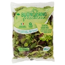 Buongiorno freschezza Tenero Gran Mix Lattughino, Songino, Spinacino 200 g