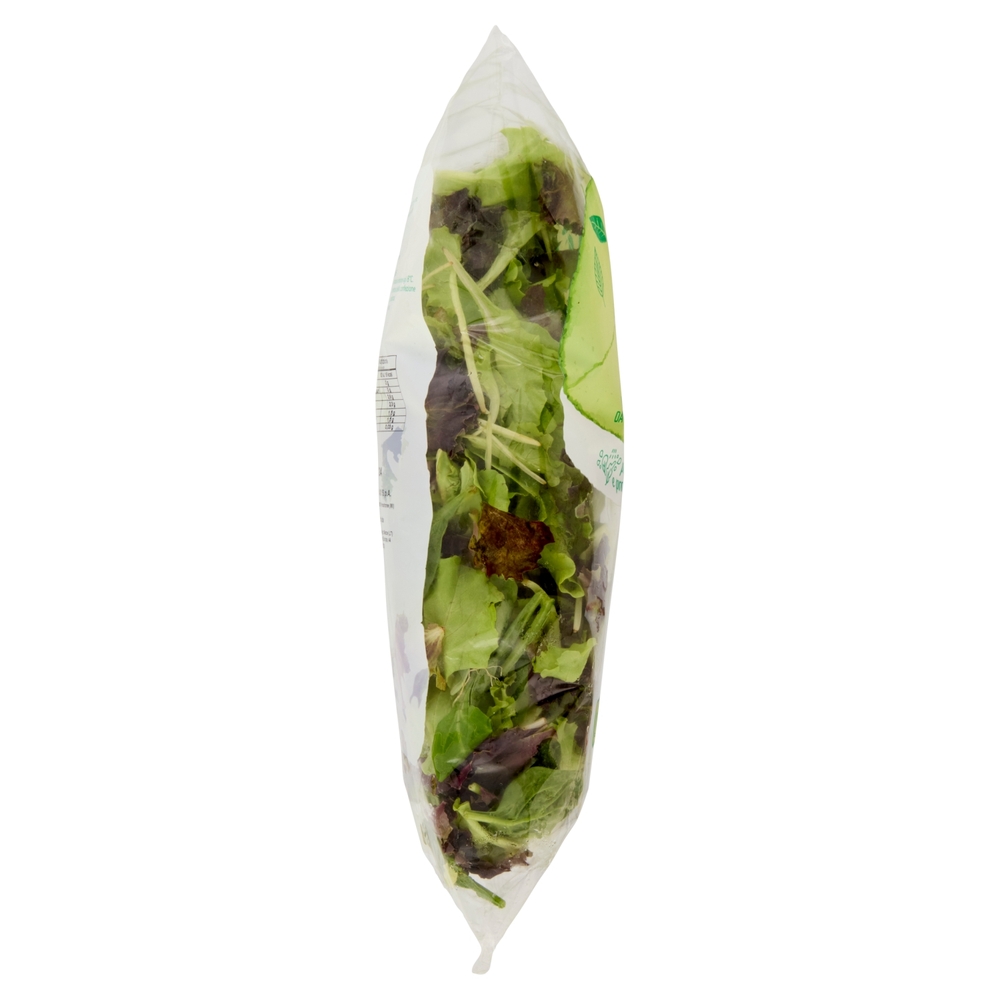 Buongiorno freschezza Tenero Gran Mix Lattughino, Songino, Spinacino 200 g