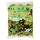 Buongiorno freschezza Tenero Gran Mix Lattughino, Songino, Spinacino 200 g