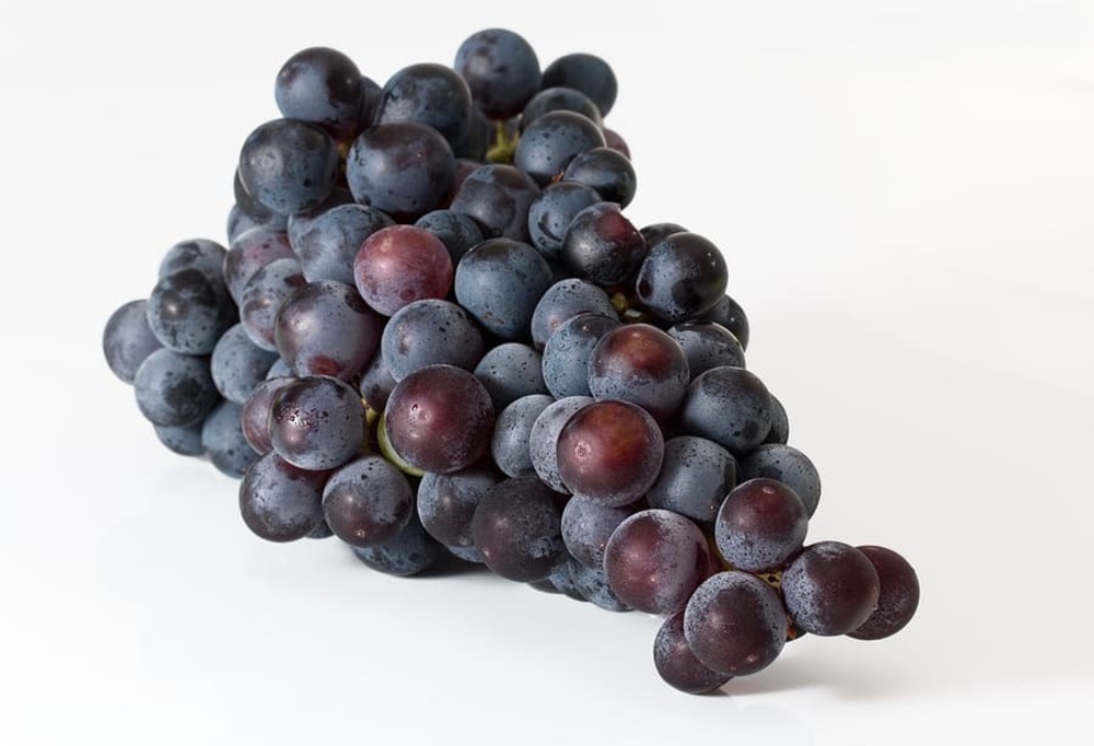 UVA FRAGOLA