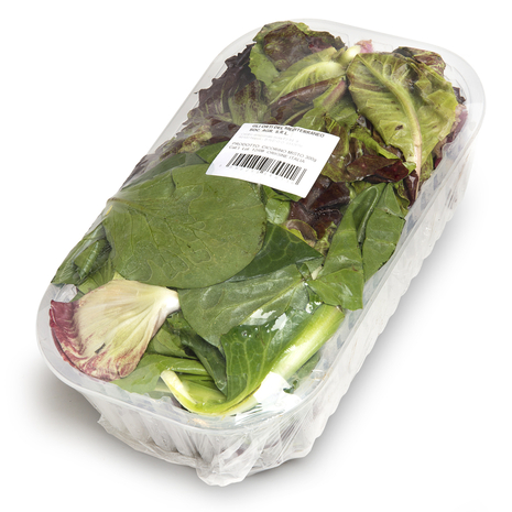 Cicorino Grumolo, 300 g