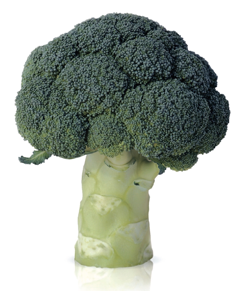 Broccoli BIO, 500 g