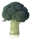 Broccoli BIO, 500 g