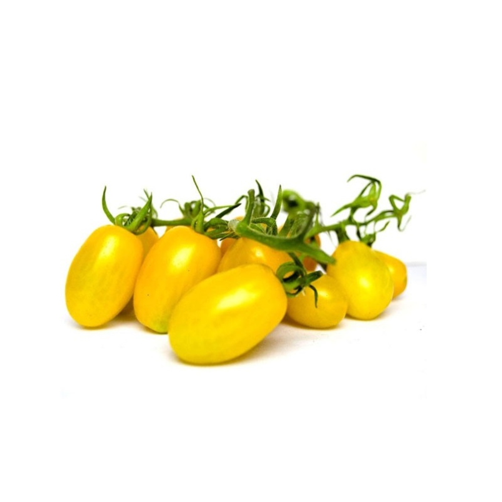 Pomodoro Datterino Giallo, 250 g