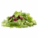 Insalata Mista Tenera, 125 g