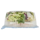 DimmidiSì Caesar Salad con Grana Padano, 135 g