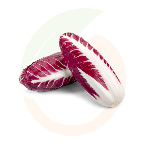 Radicchio Rosso Treviso Precoce IGP, 500 g