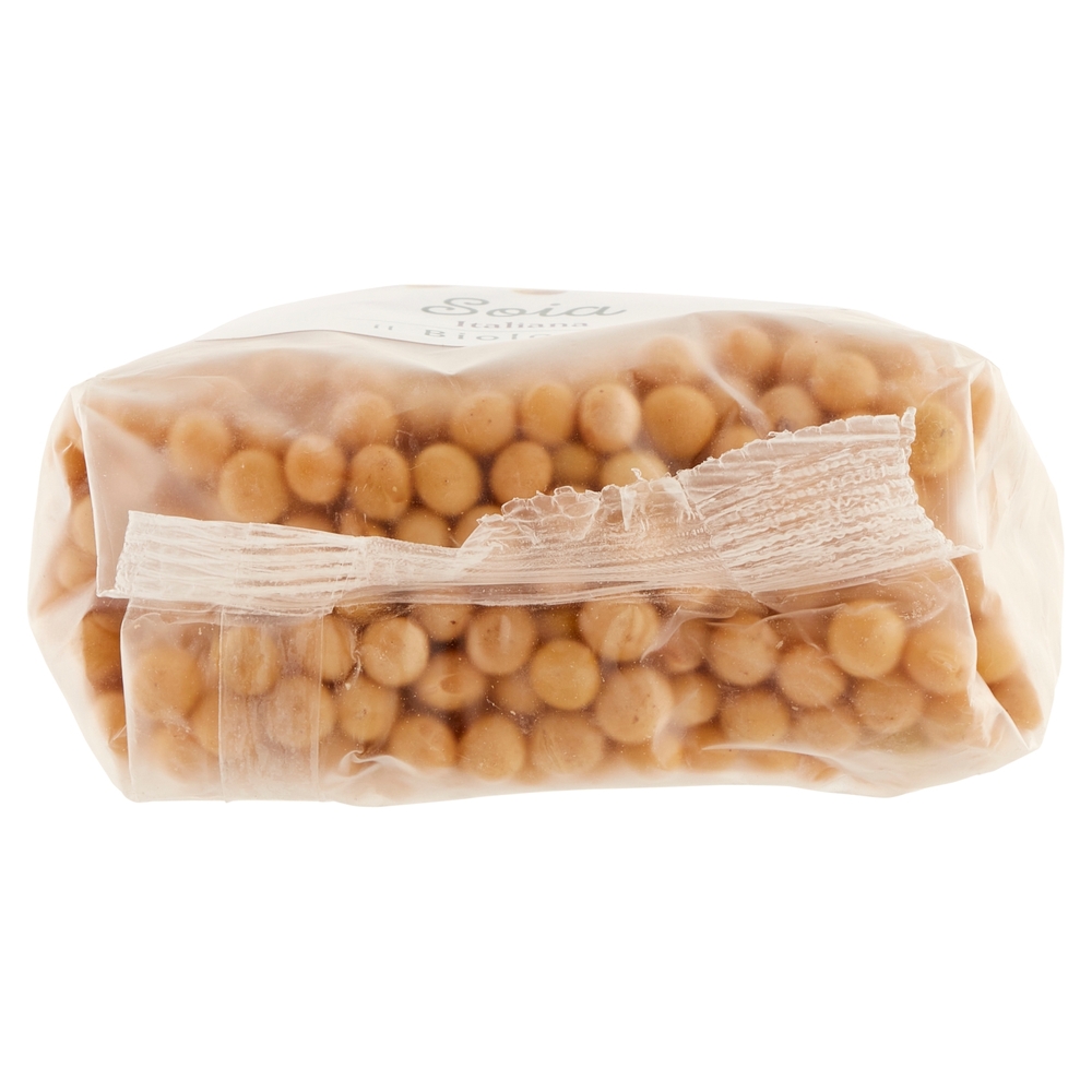 Soia BIO Il Viaggiator Goloso