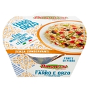 DimmidiSì Piatti Freschi Insalata di Farro e Orzo con Erbe Mediterraneo e Farro Italiano 200 g