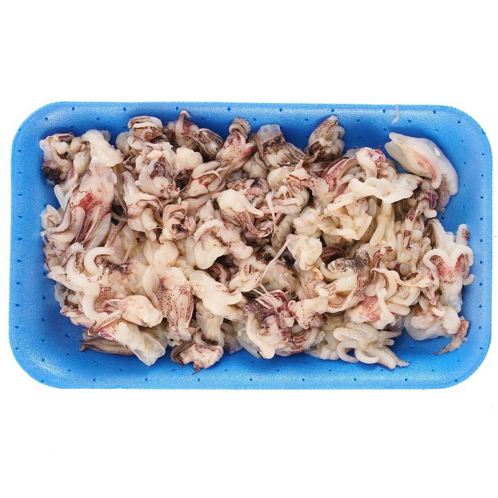 CIUFFI DI CALAMARO OCEANICO DECONGELATI