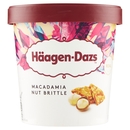 Häagen-Dazs Macadamia Nut Brittle 400 g