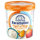 Sammontana Barattolino Classico Yogurt e Mango 500 g