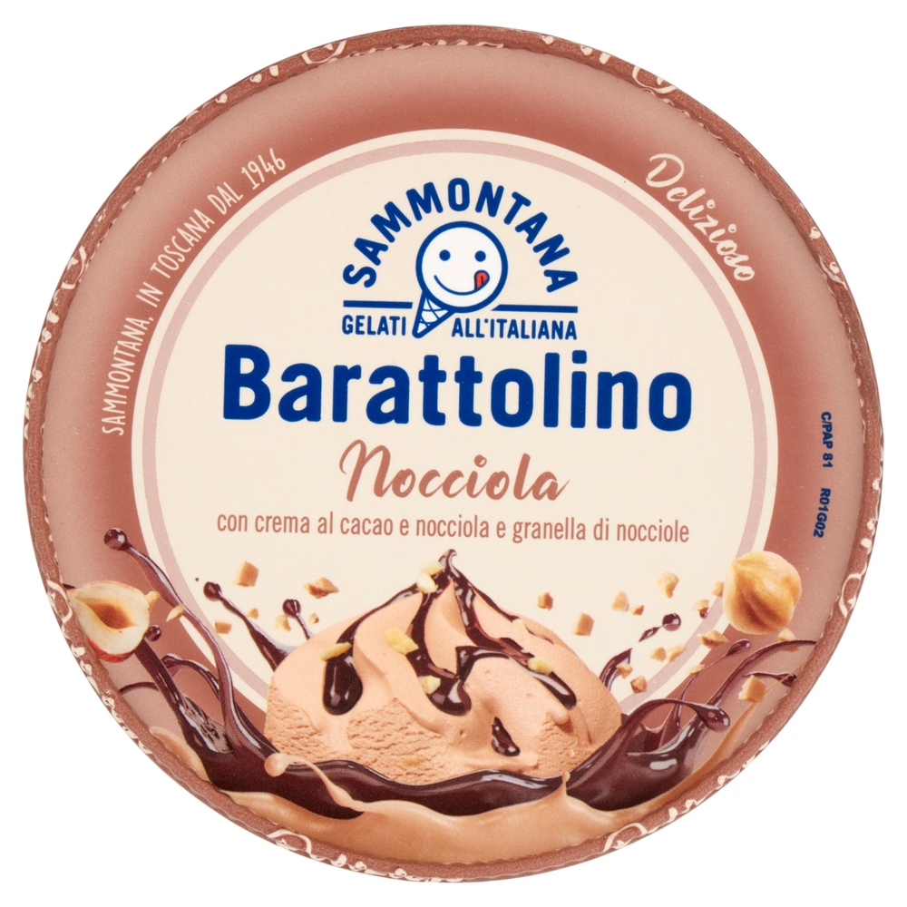 Sammontana Barattolino Delizioso Nocciola 500 g