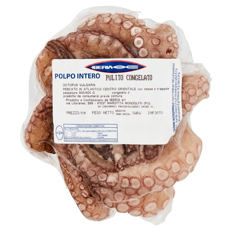 Polpo Intero del Marocco