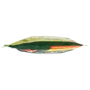 Findus Cremosa Piselli e Zucchine 600 g