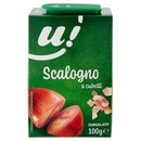Scalogno U!
