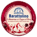 Barattolino Coppa Oro Delizie l'Amarena, 500 g