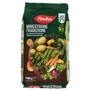 Findus Minestrone Tradizione - con Verdure IGP e DOP 1000 g