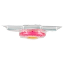 neo Baby Anello Refrigerante 4m+