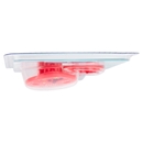 neo Baby Clip Salvasucchietto con catenella 0m+ Dino Rosa