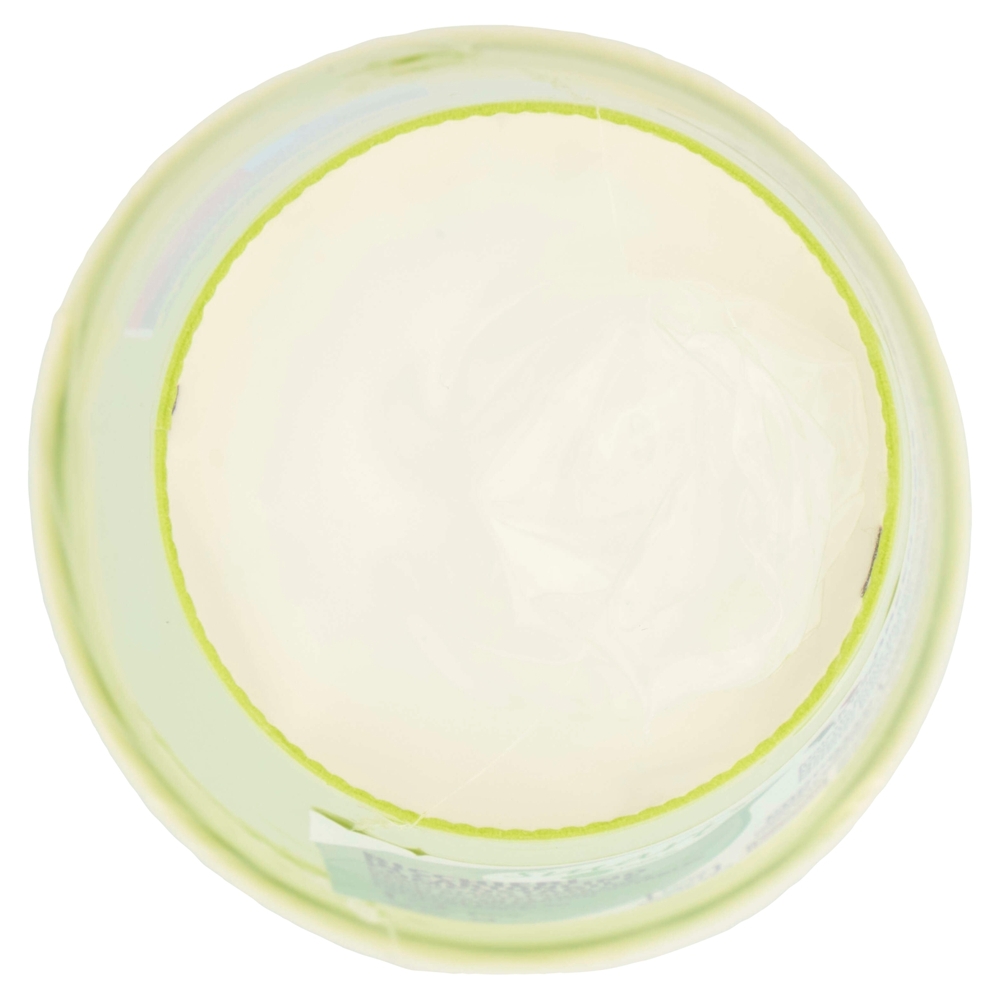 Smart Ecotable Bicchieri in Cartoncino Compostabile 25 cl Green Anis 12 pz