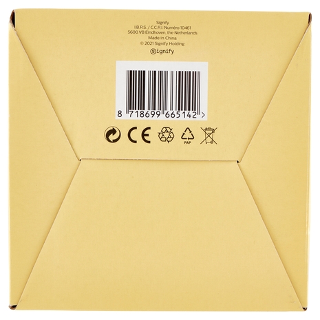 Philips Led globo vetro 100W E27 2700K
