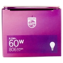Philips Led sfera vetro 60W E14 4000K