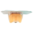 neo Baby Termometro Bagno 0m+