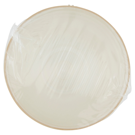 PerLa Festa ComposTable Flutes Compostabili 4 pz