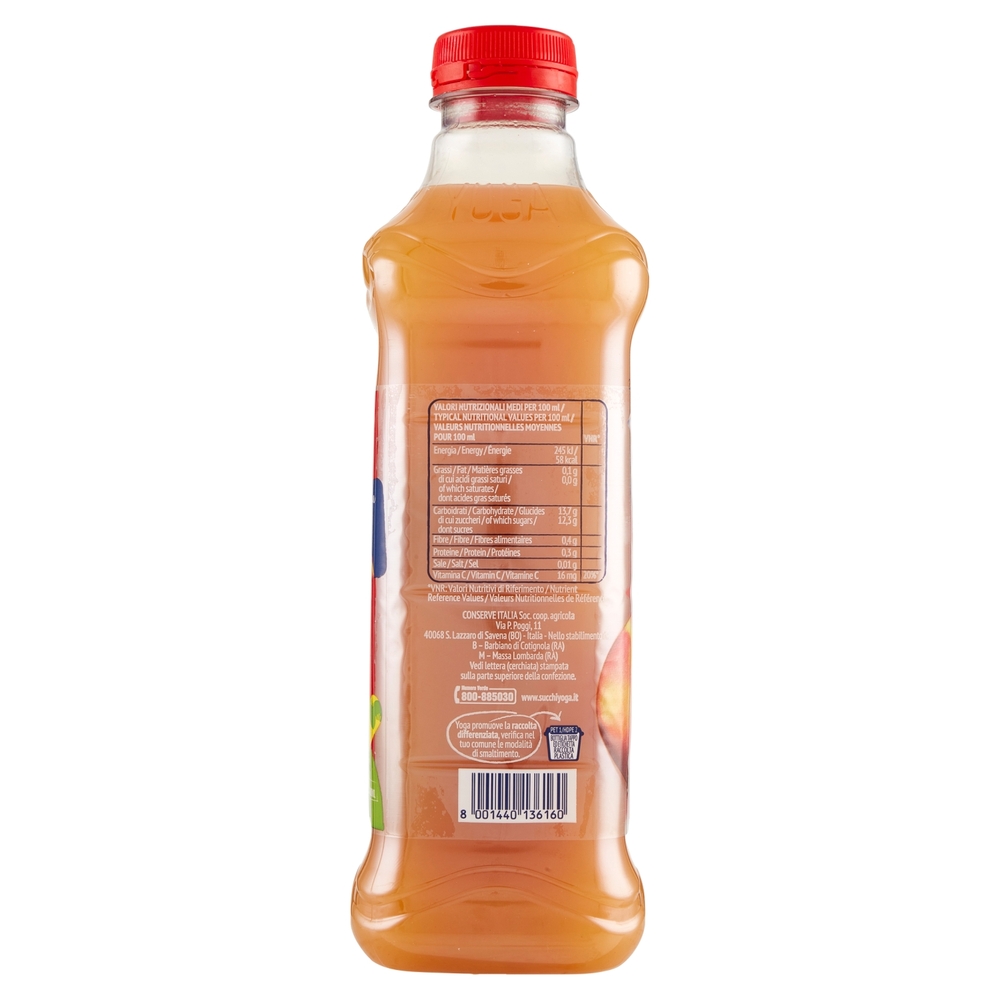 Yoga Pesca 1000 ml