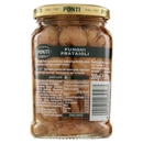 Ponti Zero Olio Funghi Prataioli 300 g