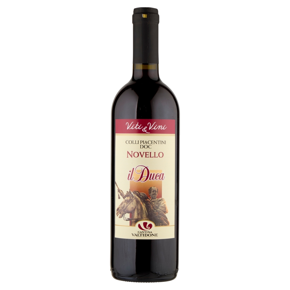 Cantina Valtidone Viti & Vini Il Duca Colli Piacentini DOC Novello 0,75 L