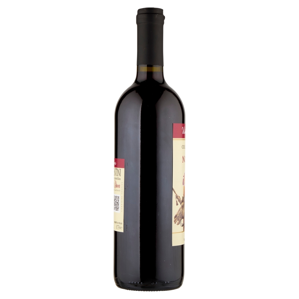 Cantina Valtidone Viti & Vini Il Duca Colli Piacentini DOC Novello 0,75 L
