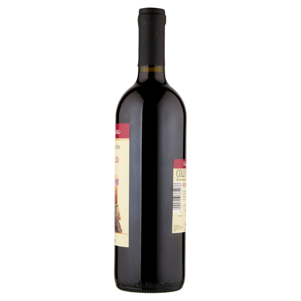 Cantina Valtidone Viti & Vini Il Duca Colli Piacentini DOC Novello 0,75 L