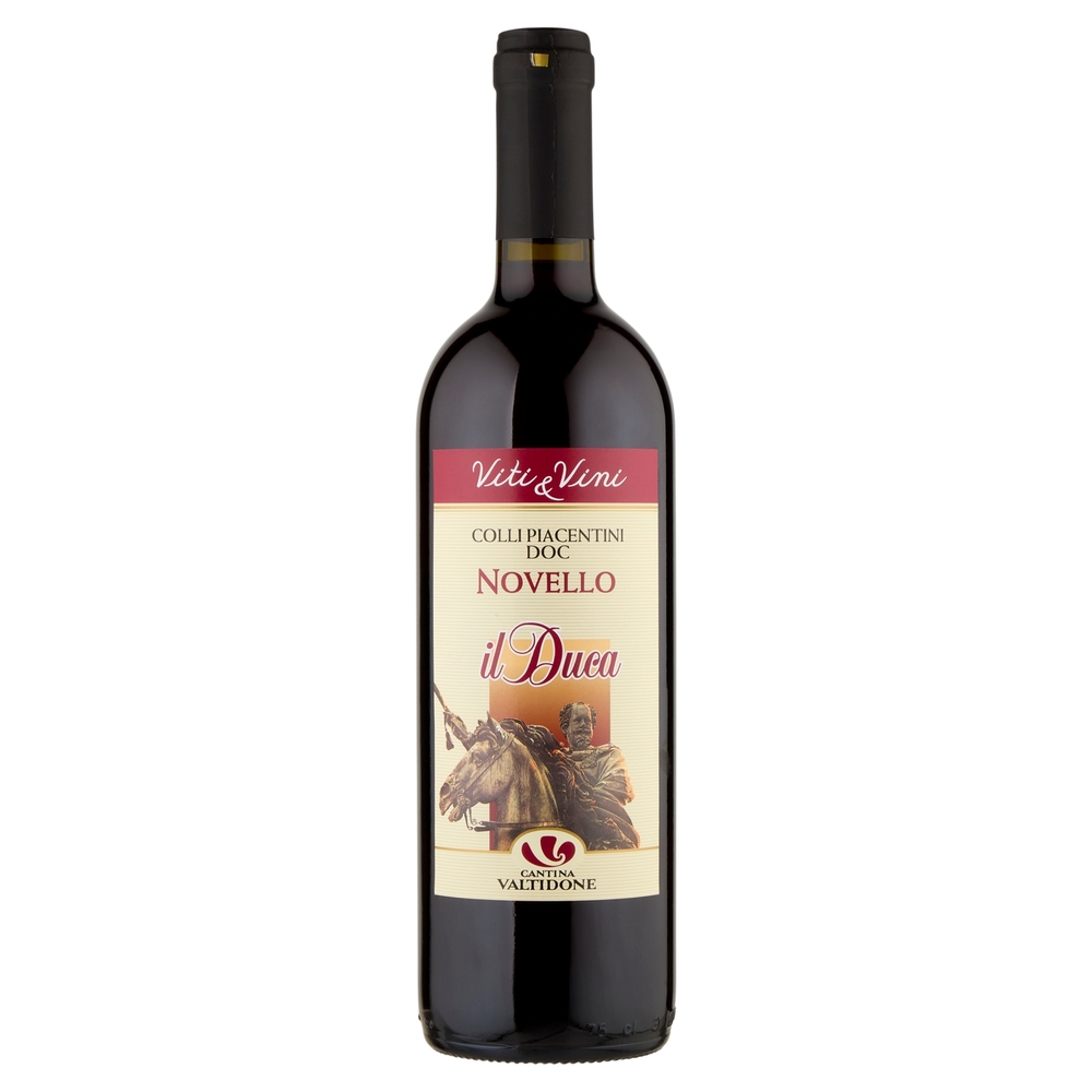 Cantina Valtidone Viti & Vini Il Duca Colli Piacentini DOC Novello 0,75 L