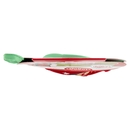 dolfin Calza Bing 190 g