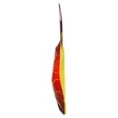 Walcor Calza Flash 170 g